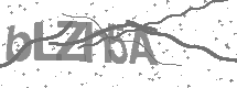 visual captcha